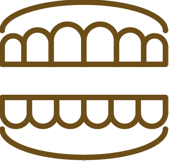 入れ歯