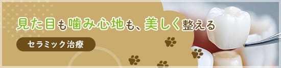 セラミック治療